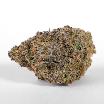 White Truffle